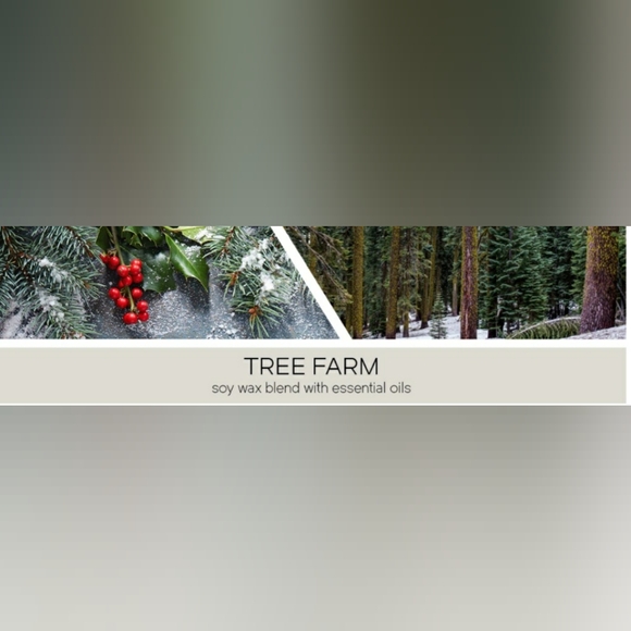 Goose Creek TREE FARM Large 3-Wick Scented Candle, 14.5 oz - Picture 5 of 5